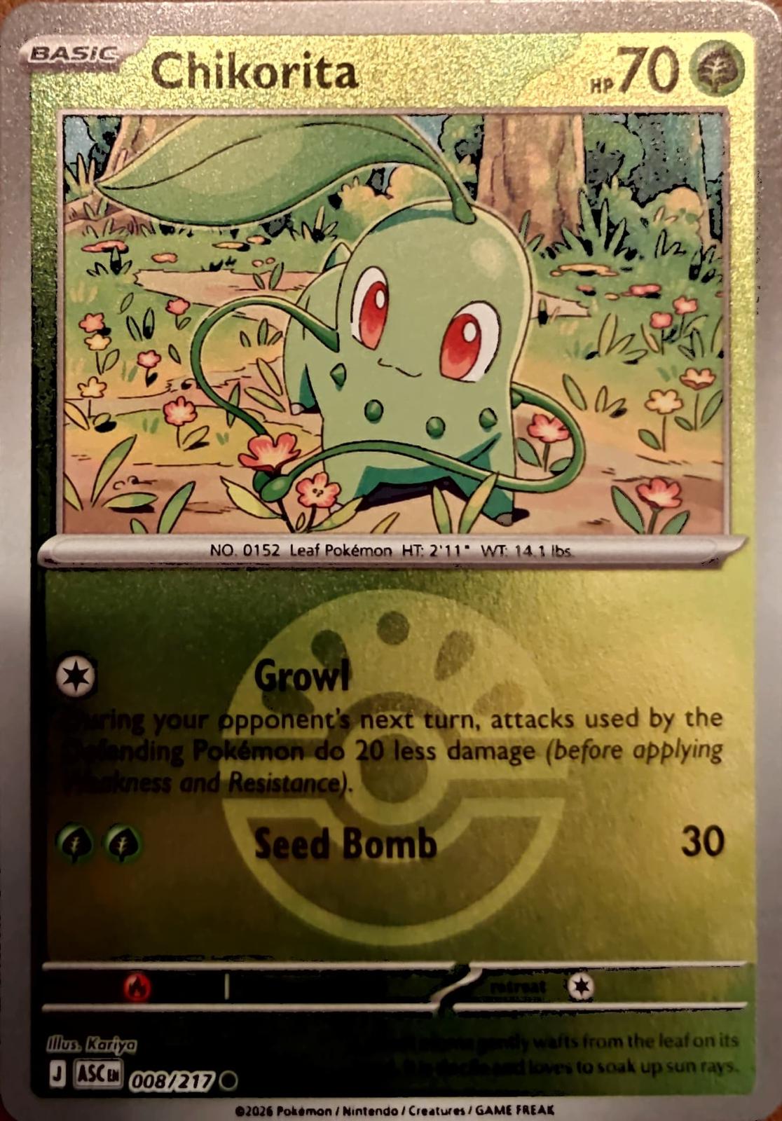 Ascended Heroes Chikorita [Ball] Pokémon card